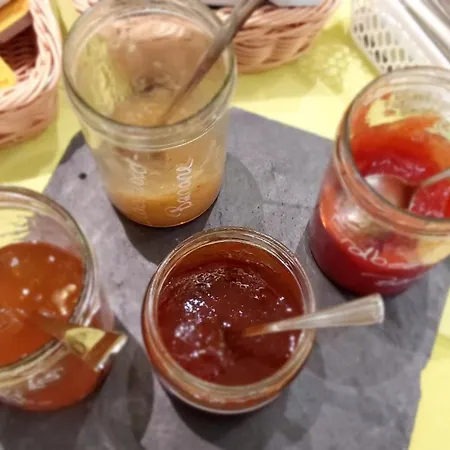 Wehlen 게스트하우스 스타트벨렌