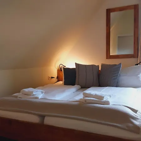 Wehlen 게스트하우스