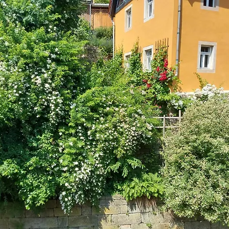 Bed And Breakfast Wehlen Guest house Stadt Wehlen